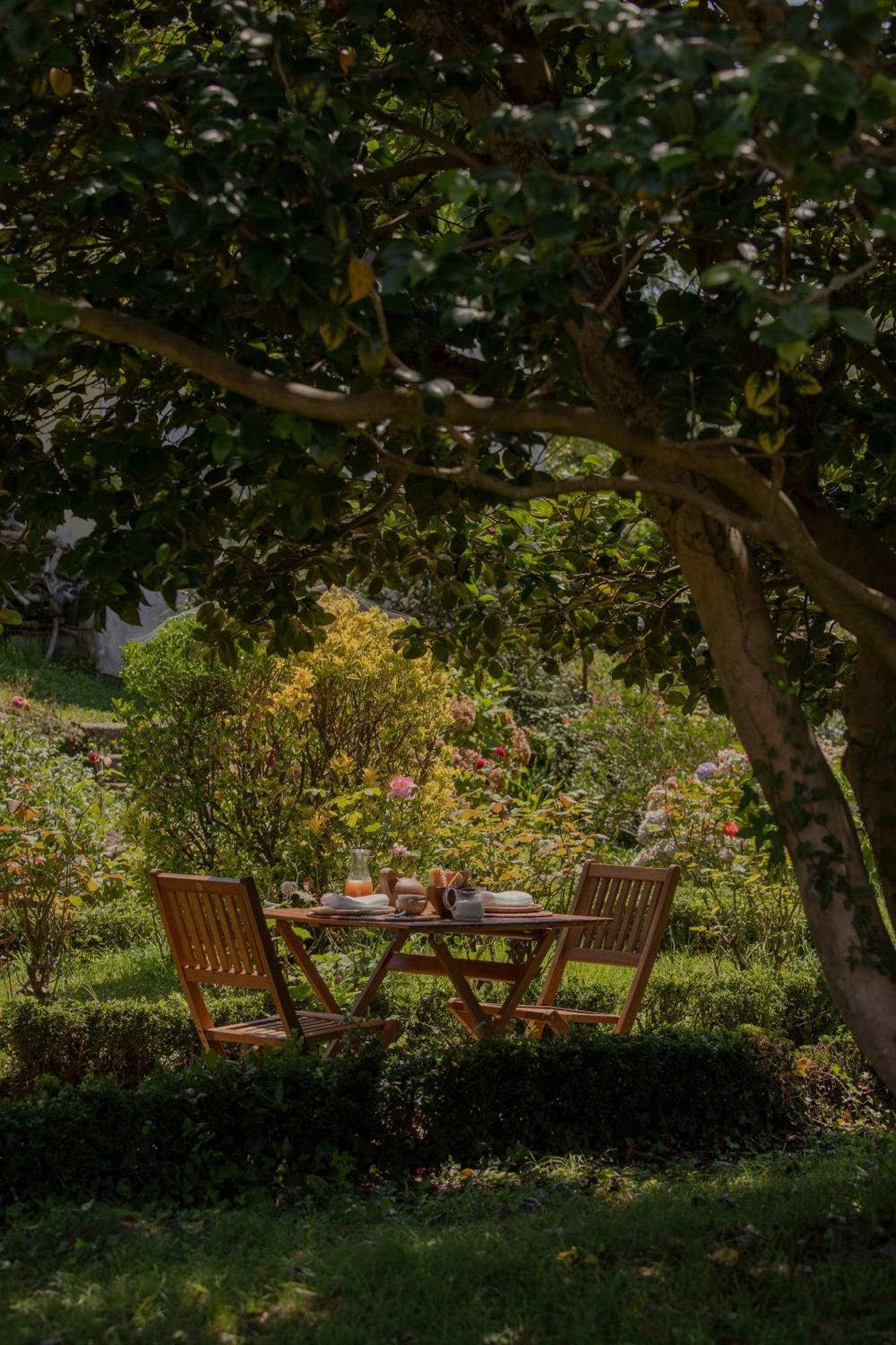 Maison Gamboia, Chambres D'Hotes Au Calme Avec Jardin Hasparren Zewnętrze zdjęcie